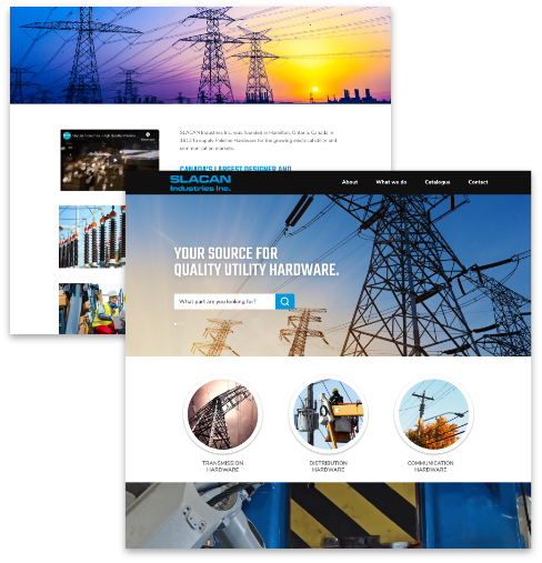 SLACAN website screenshots