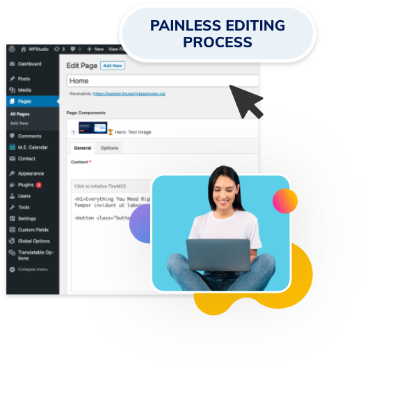PAINLESS EDITING WORDPRESS